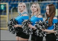 05.jpg