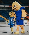 08.jpg