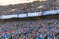 110.jpg