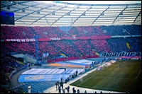 09.jpg