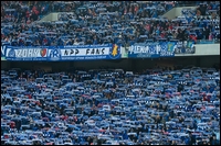 75.jpg