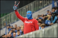 37.jpg