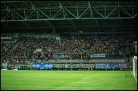 48.jpg