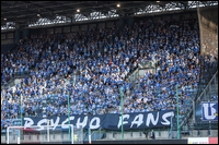 08.jpg