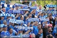 05.jpg