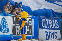 59.jpg